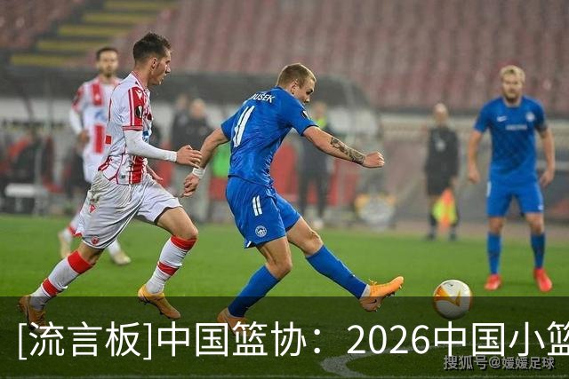 [流言板]中国篮协：2026中国小篮球系列活动省级赛九大赛区圆满收官